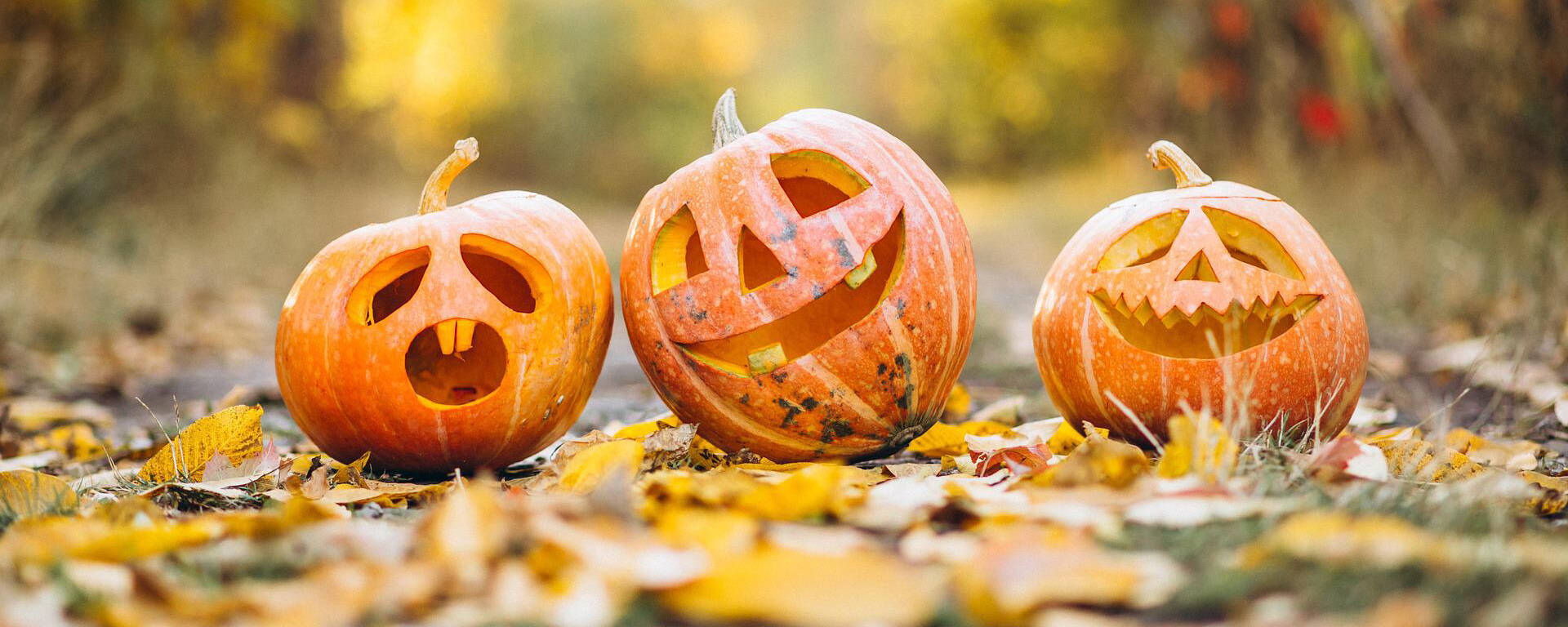 Effrayant Halloween !