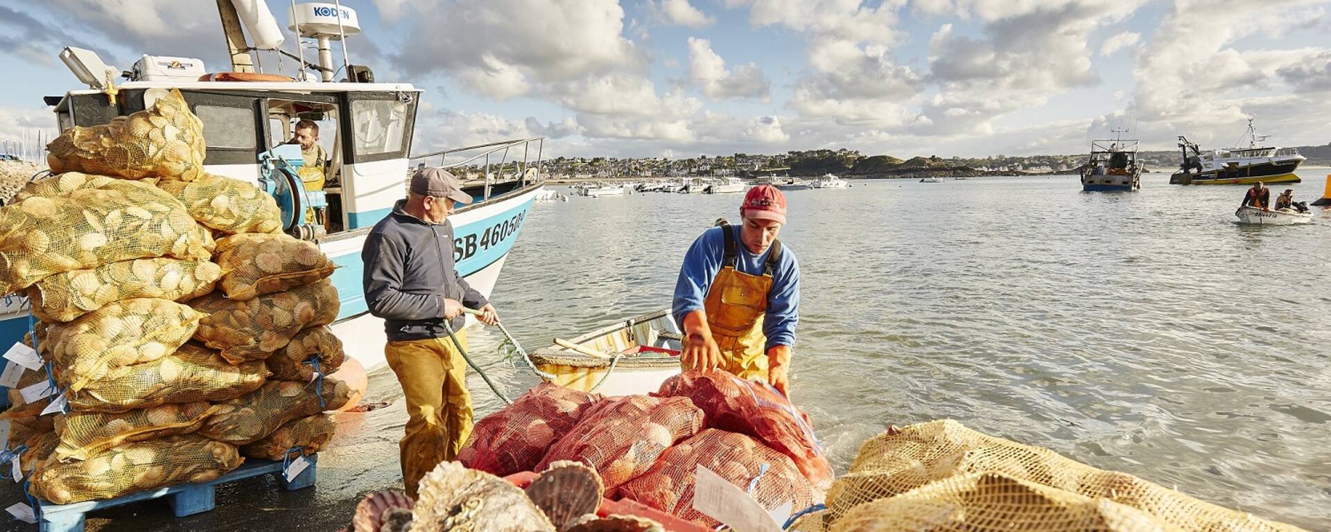 Pêche à la Coquille St Jacques - Erquy ©A.Lamoureux