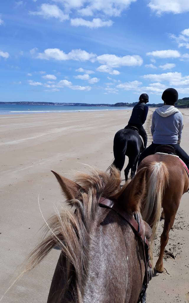 A cheval à la plage  Office de Tourisme Cap d'Erquy-Val André