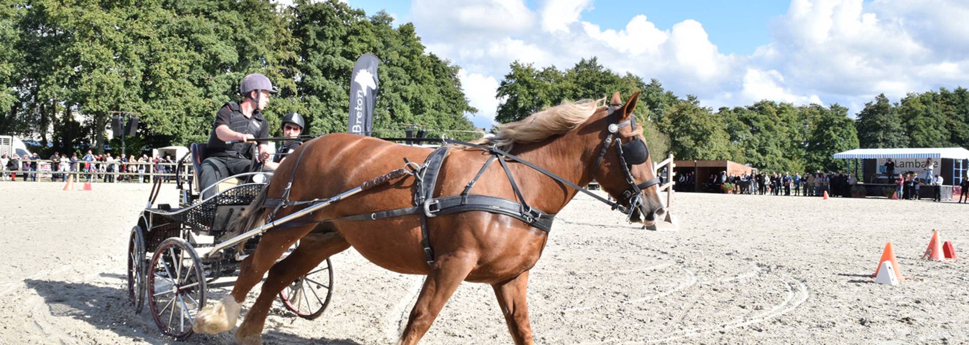 Haras de Lamballe