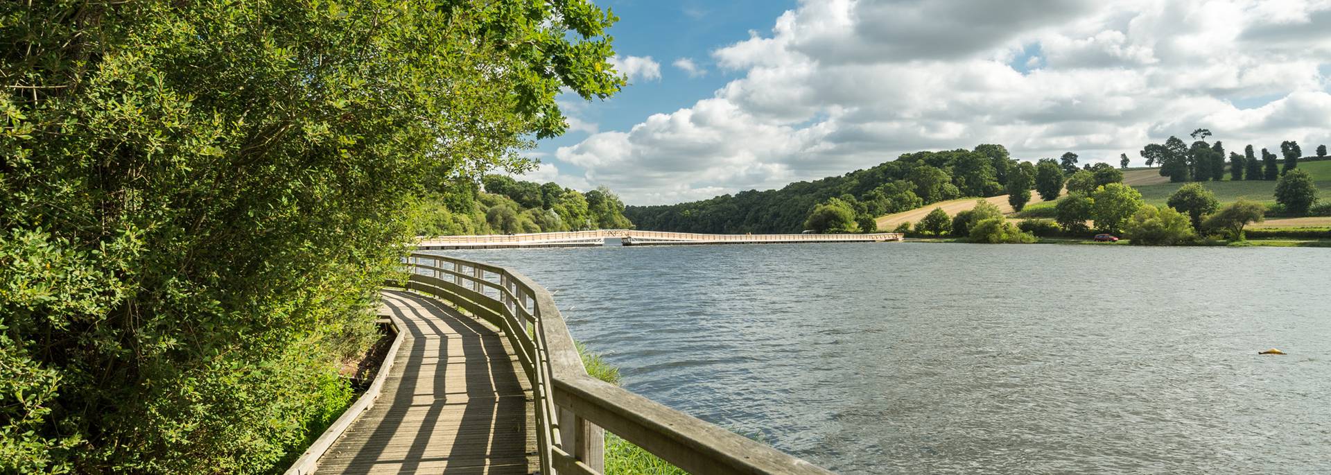 Etang de Jugon - E.Berthier