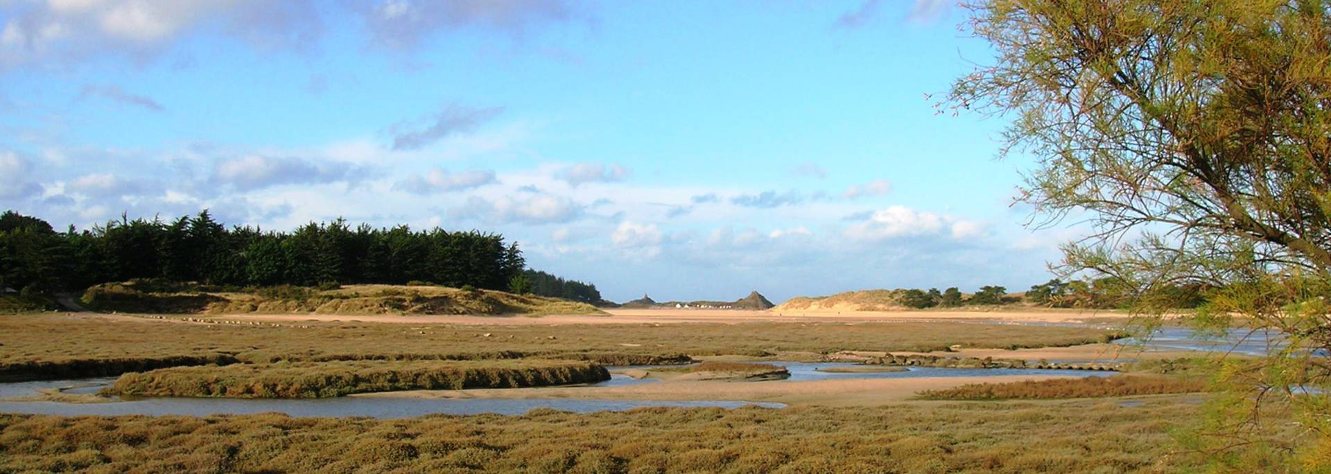 Lagune - Plurien