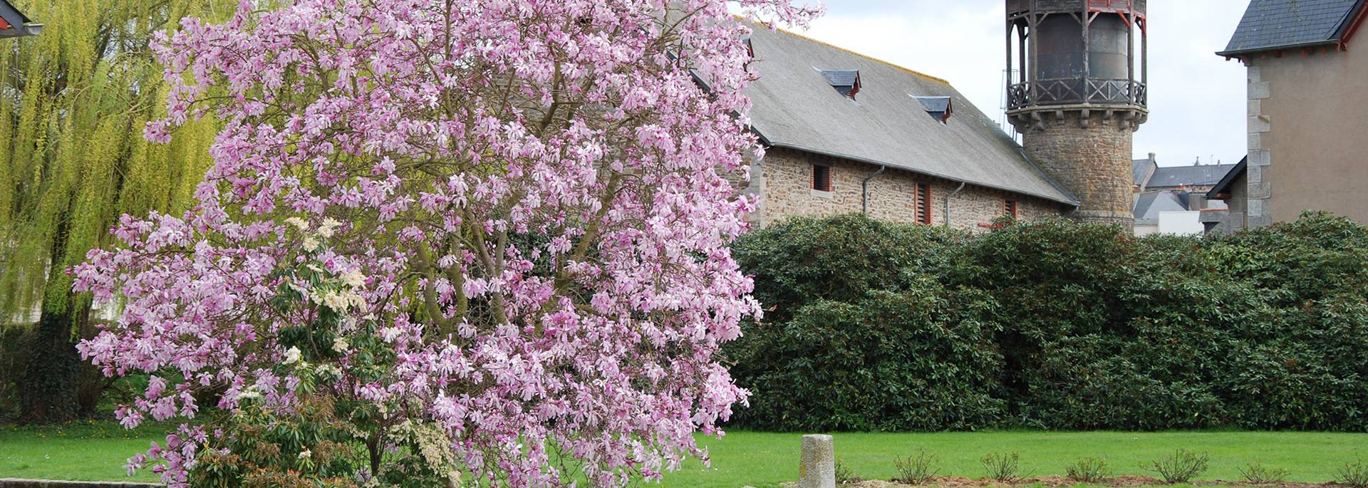 Haras de Lamballe