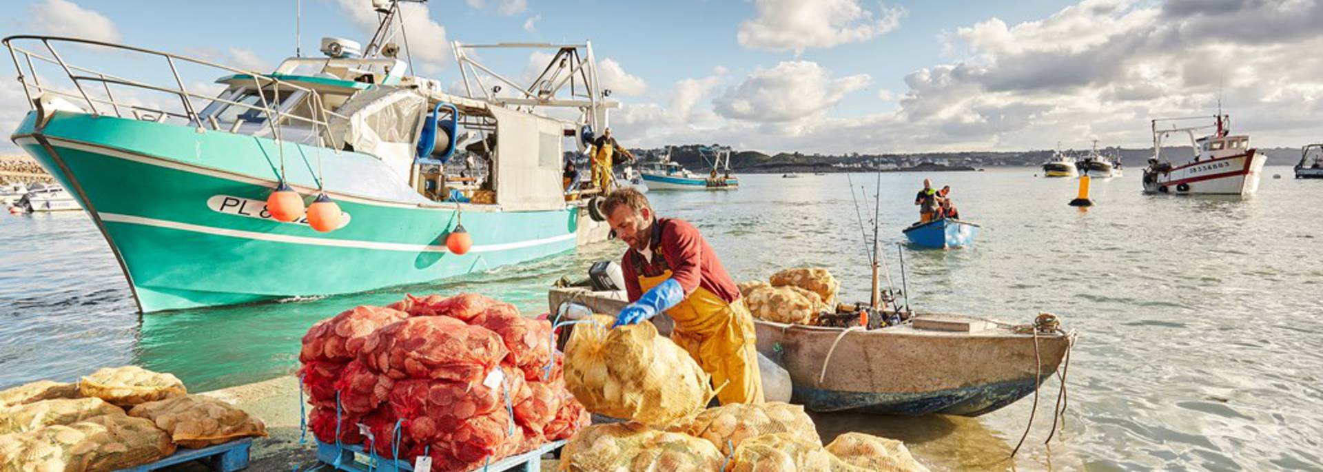 peche à la coquilles saint jacques erquy ©A. Lamoureux
