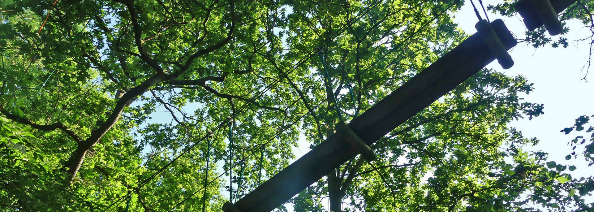 Indian Forest accrobranche