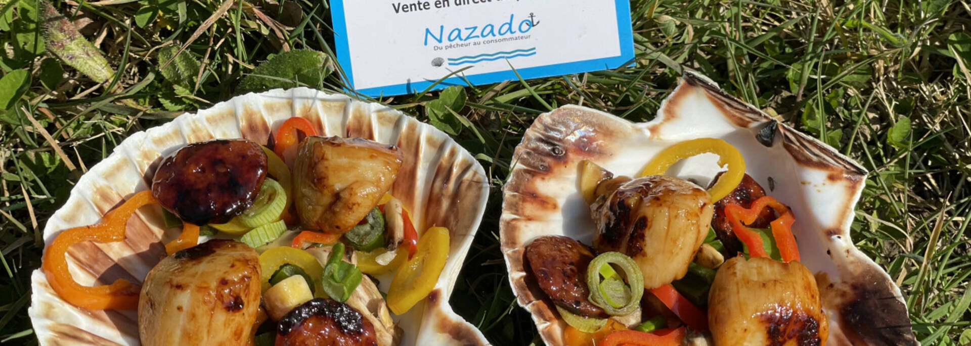 Nazado - Cuisiner la coquille St Jacques