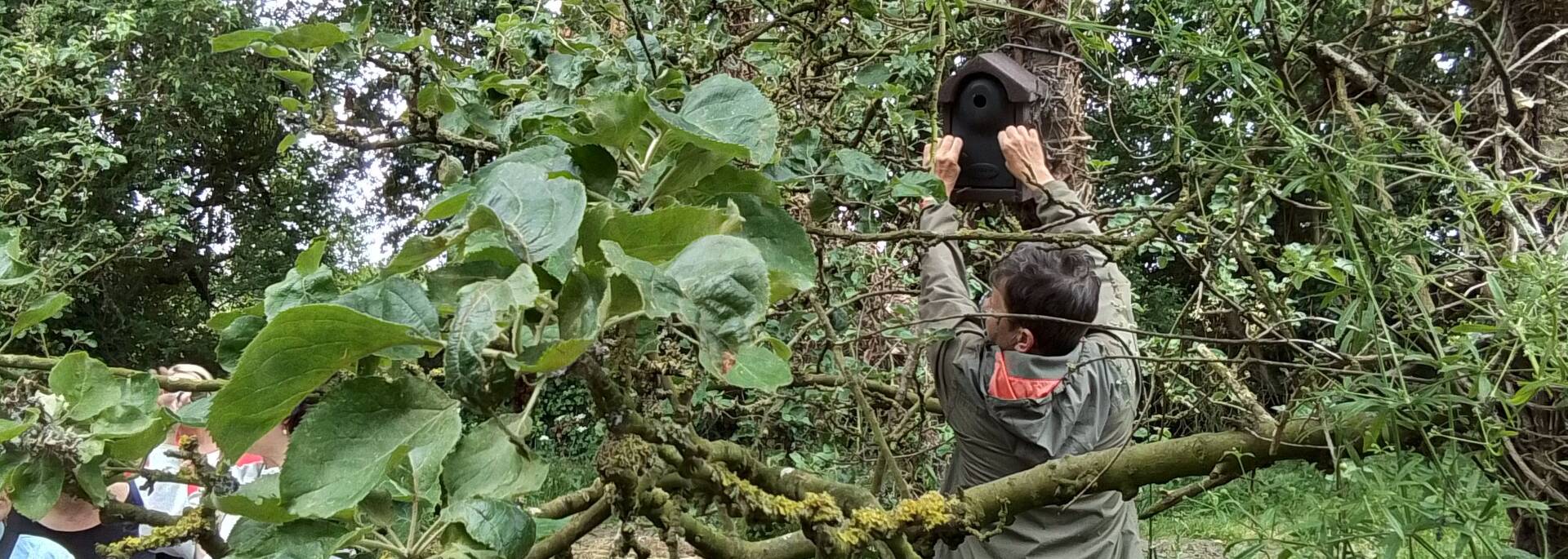nid.jpg