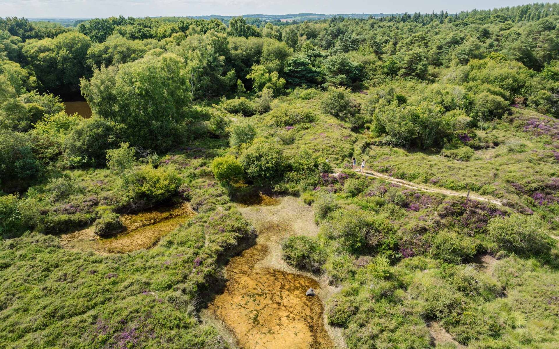 Vue aérienne des landes de la poterie