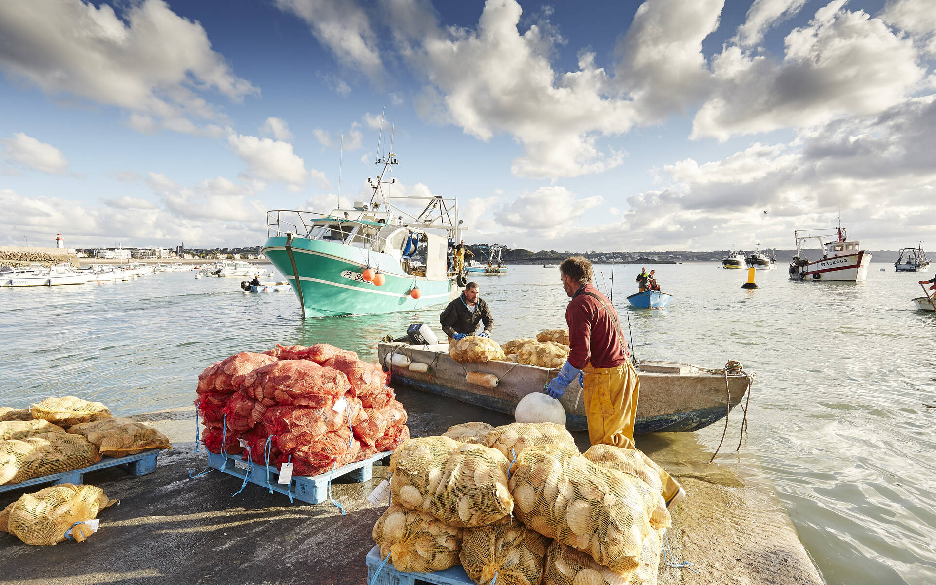 Déchargement des coquilles C. Lamoureux