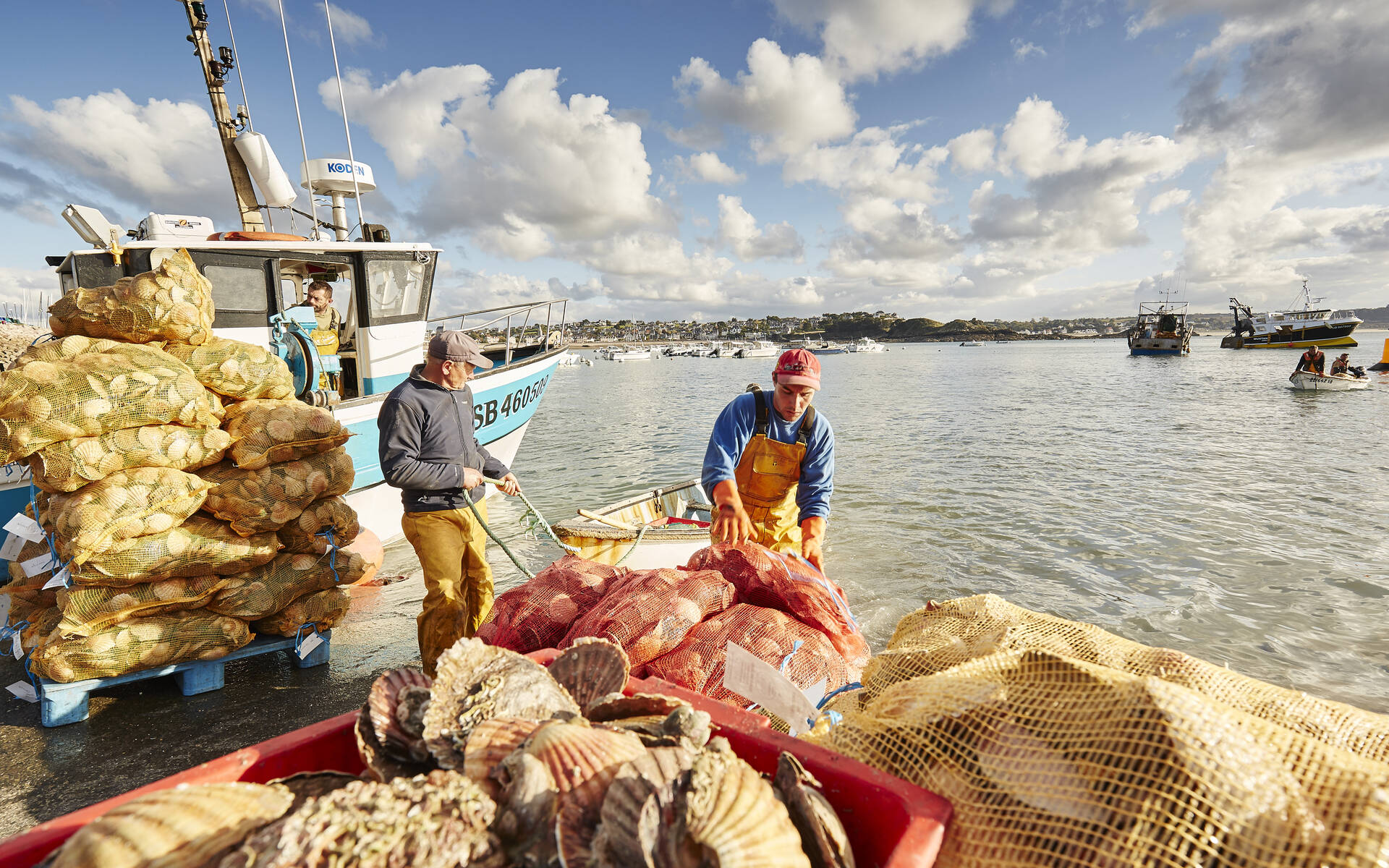 Pêche à la coquille C. A. Lamoureux