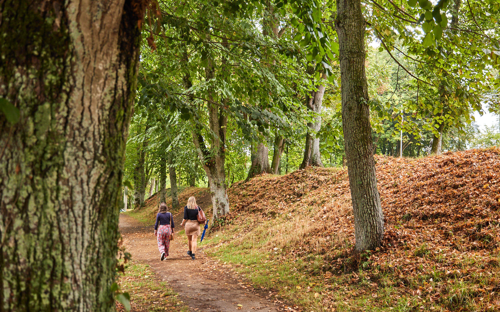 Randonnée Lamballe C. A. Lamoureux