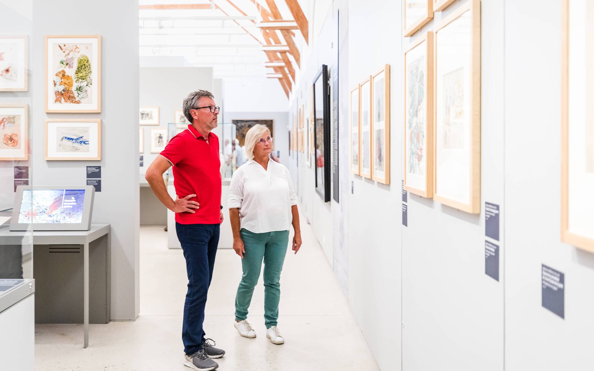 Musée Mathurin Méheut Crédit : L'Oeil de Paco