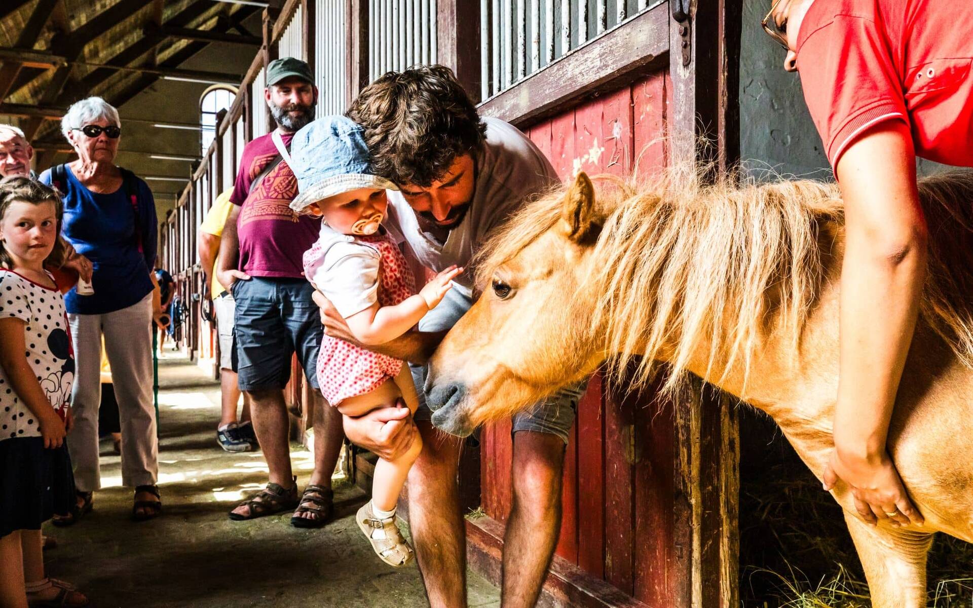 Haras de Lamballe Crédit. L'oeil de Paco
