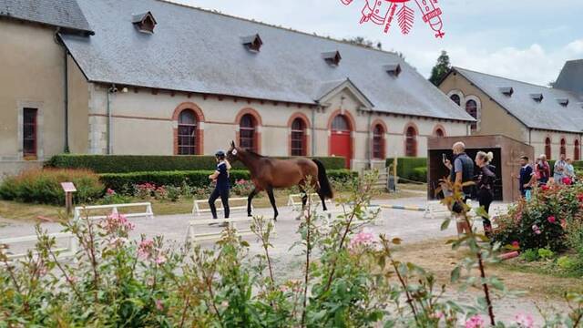 Expérience au Haras National de Lamballe