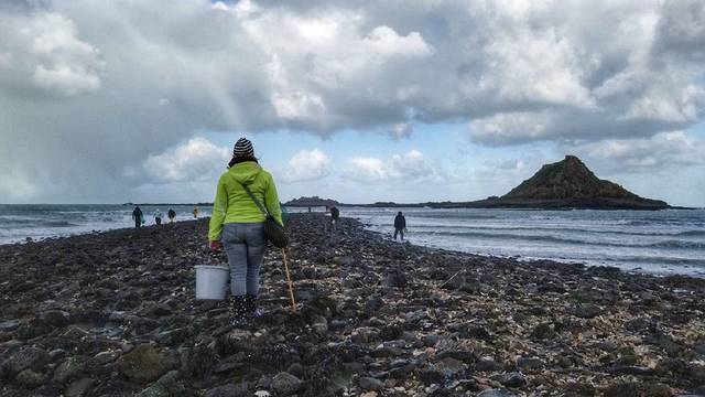 Pêche à pied à l'îlot du Verdelet©A. Voka