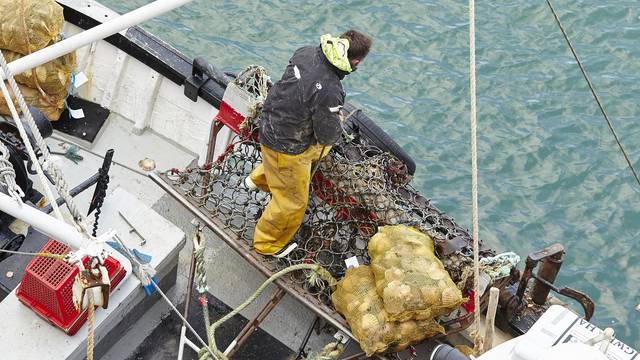 Pêche en mer
