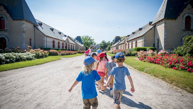 haras national de Lamballe