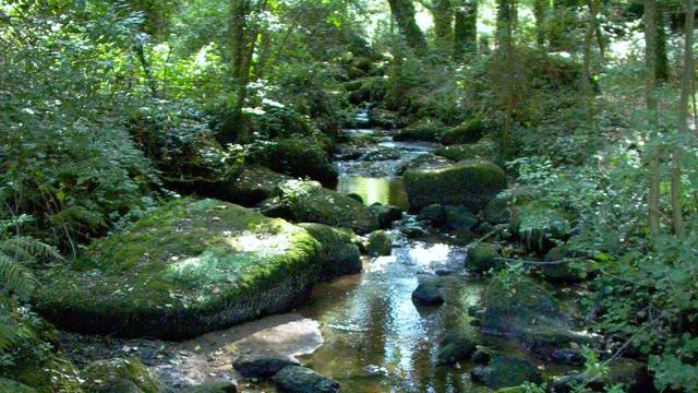 St Glen