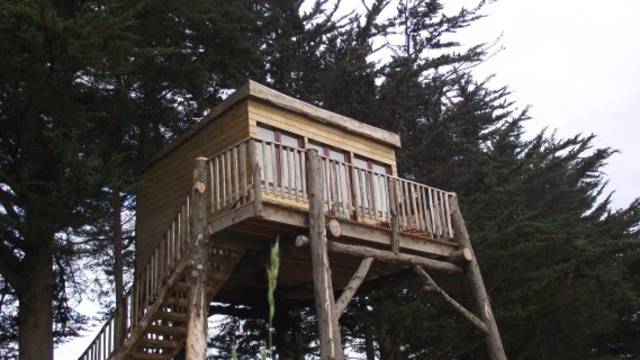 Cabane dans les arbres
