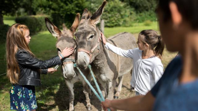 Activités à Plurien