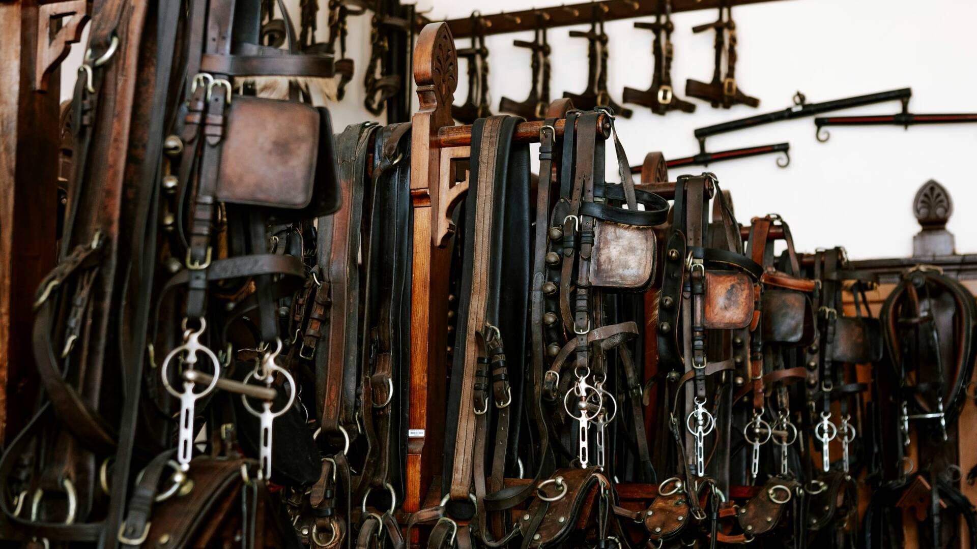 Sellerie d'honneur - ©Haras National de Lamballe 