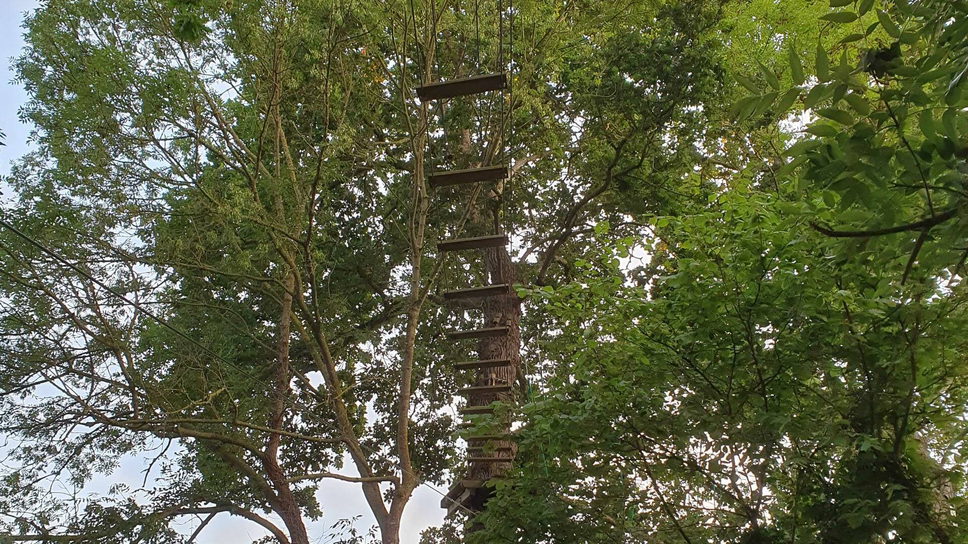 20230718_214633.jpg