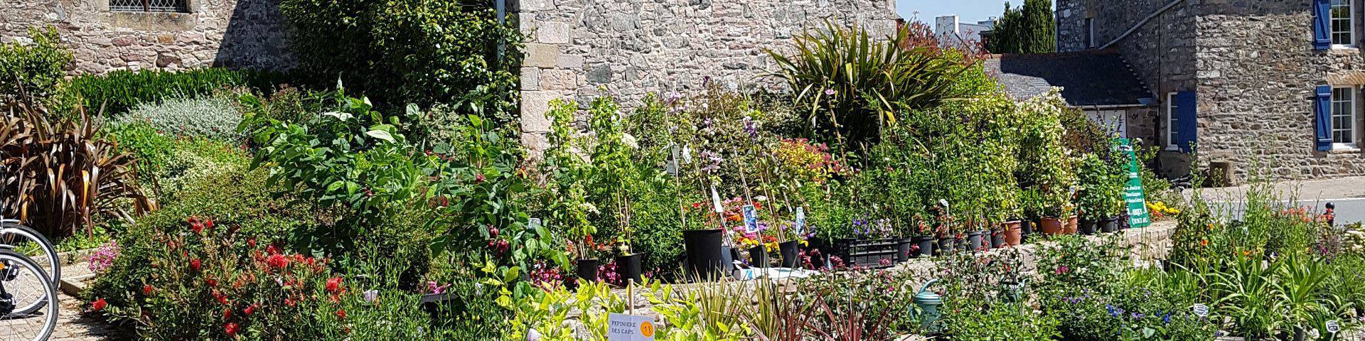 Marché aux plantes de Plurien