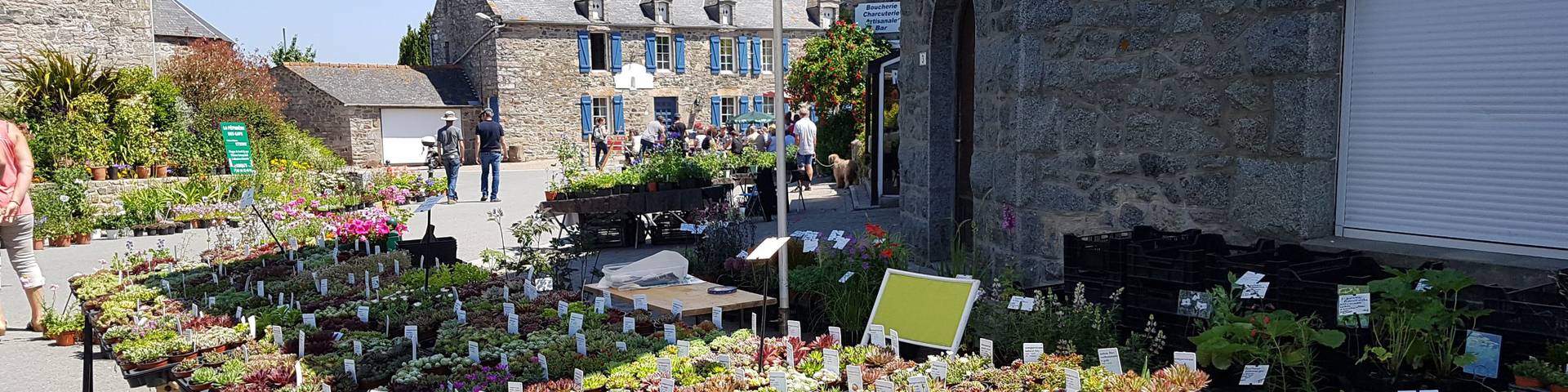 Marché aux plantes de Plurien