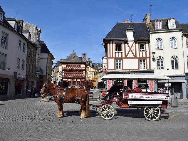 Balade en calèche à Lamballe