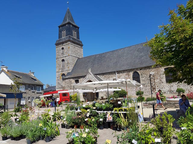 Marché aux plantes devant l'église de Plurien