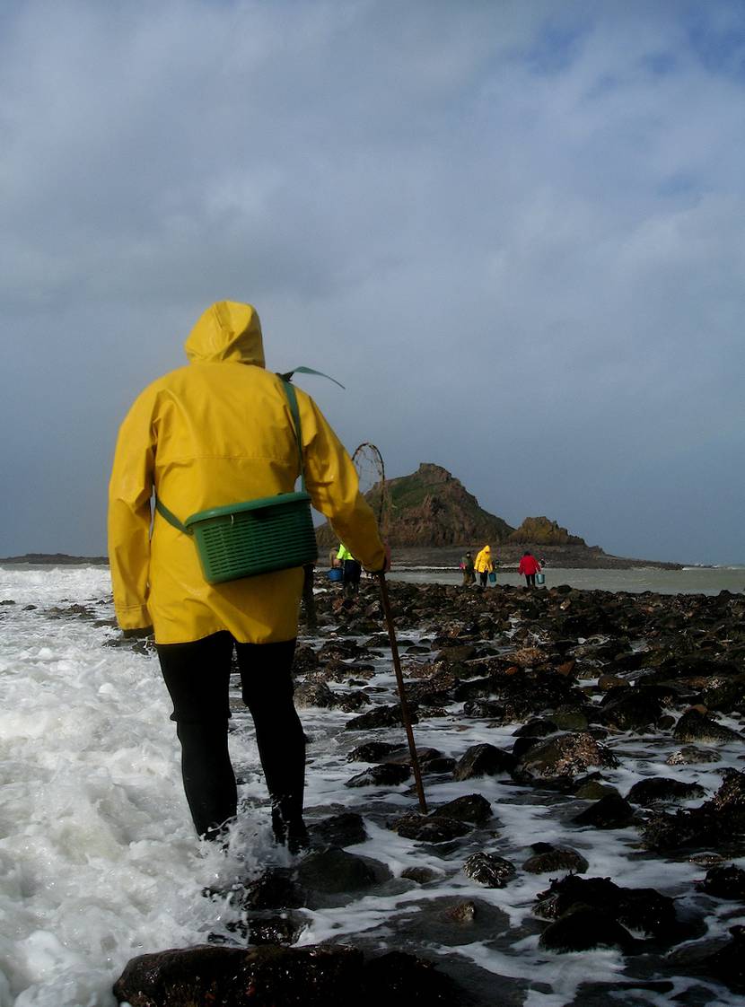 Pêche à pied à l'îlot du Verdelet