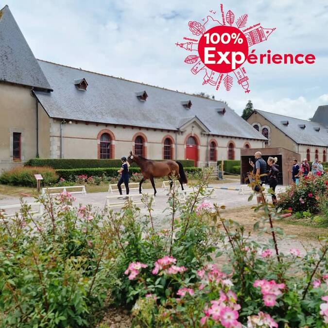 Expérience au Haras National de Lamballe